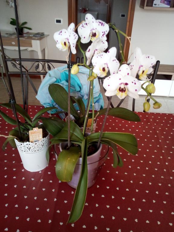 L'Orchidea Di Ale Bed and Breakfast Tivoli Terme Exteriör bild